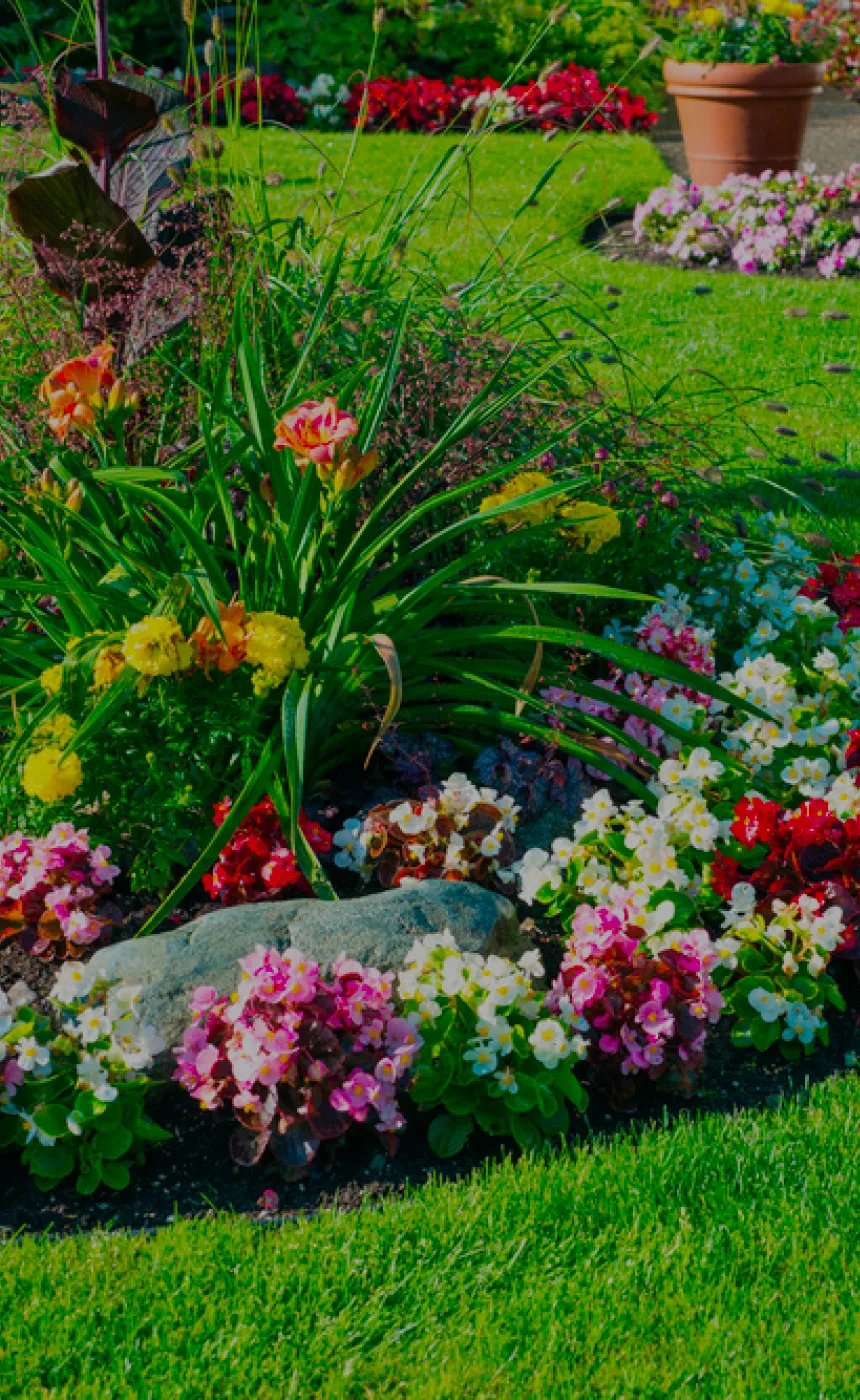 Landscaping Banner