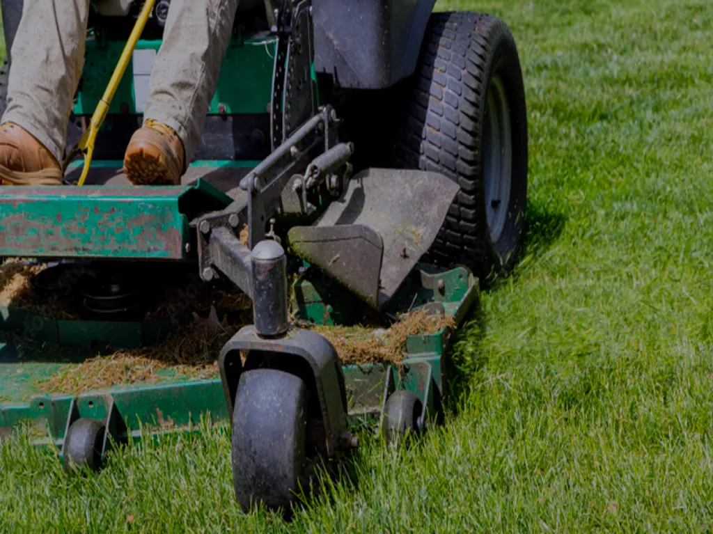 Firewood stacked neatly