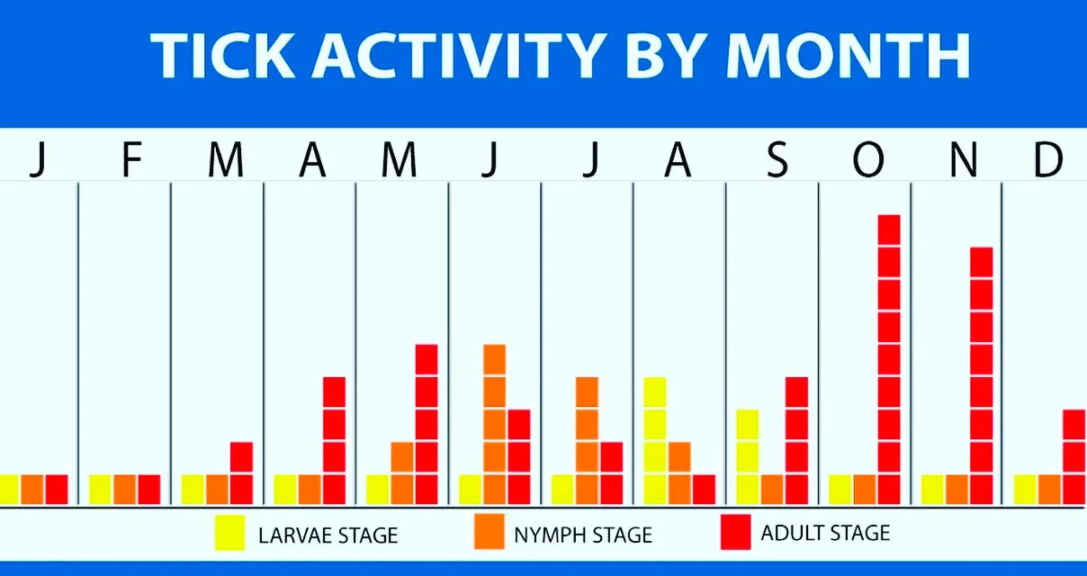 Chart of tick activity by season and by month