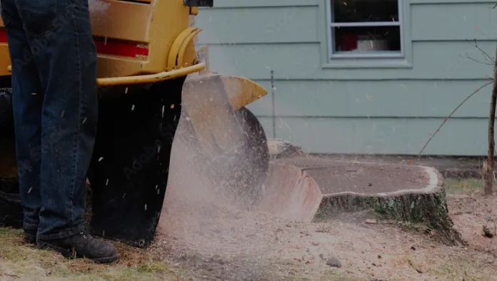 Stump Grinding